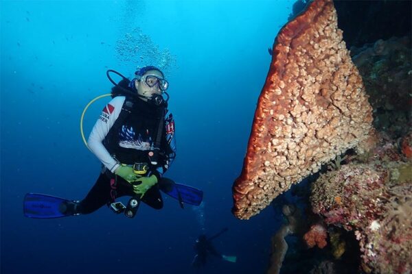 Try Scuba (1)