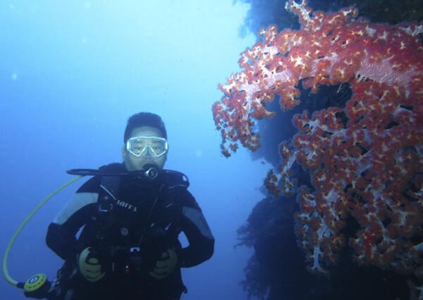 Try Scuba (10) Try Scuba (10)