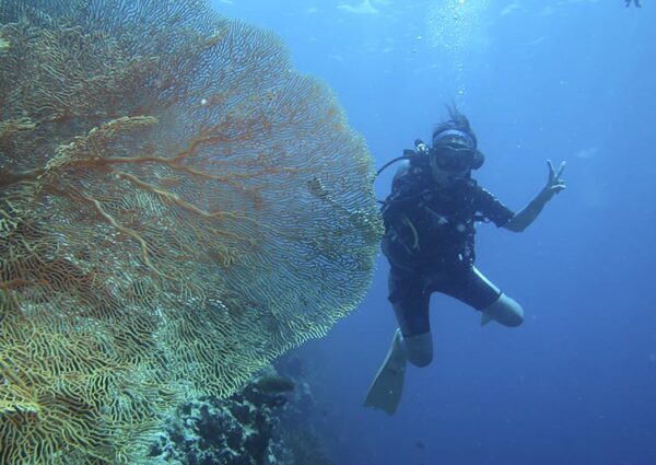 Try Scuba (12) Try Scuba (12)