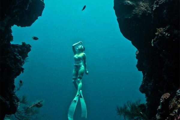 free dive (3)