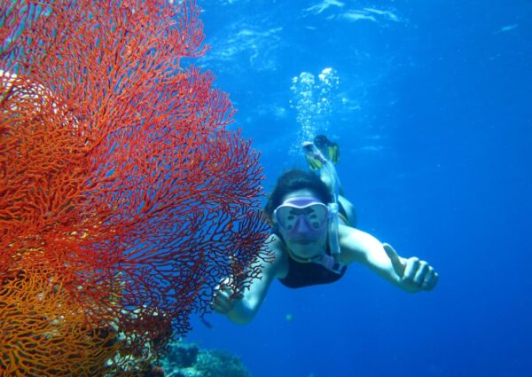 snorkeling (10) snorkeling (10)