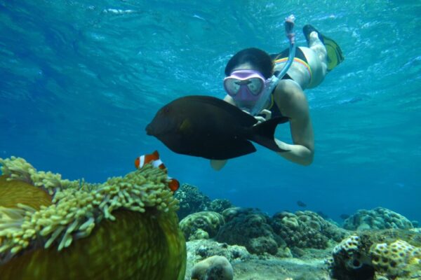 snorkeling (11)