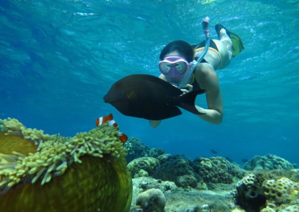 snorkeling (11) snorkeling (11)