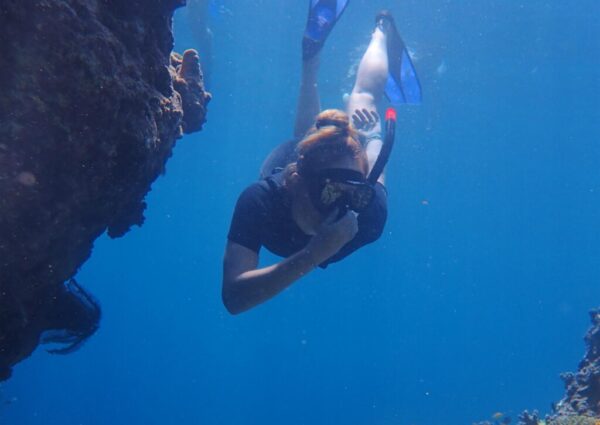 snorkeling (6) snorkeling (6)