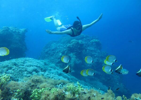 snorkeling (8) snorkeling (8)